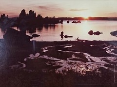 ART – Large Original Signed P. Van Dolson 35mm Photograph 29×21 Framed Landscape