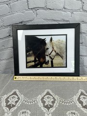 Jennifer Meyers Equestrian Photography “Horse Kiss” Framed & Matted Wall Art