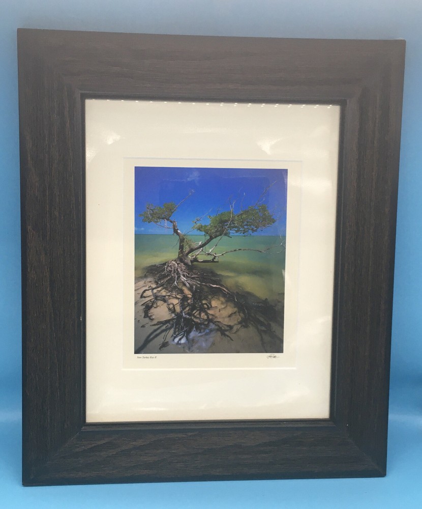 Jeff Ripple Signed Framed Photograph “New Turkey Key II”.