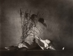 1959/80 Original JOSEF SUDEK Silver Gelatin Photo Seashell Still Life Caravaggia