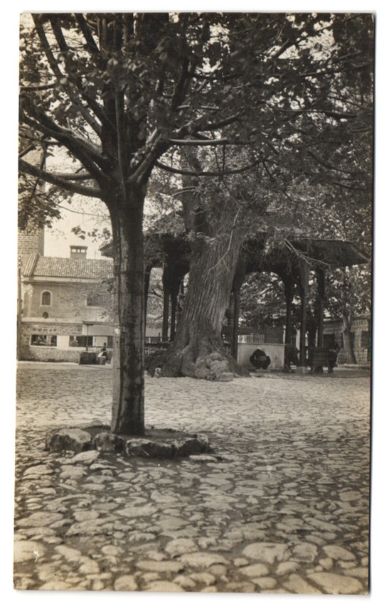 Photograph Sarajevo, Mosque Garden with Pavilion
