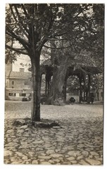Photograph Sarajevo, Mosque Garden with Pavilion