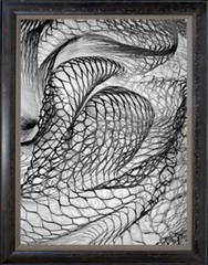 Photographs, 18″x24″ framed, film originals, various subjects, my imagery – $350