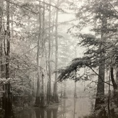 Blair Pittman: “Old River” – Original Gelatin Silver Print Photograph