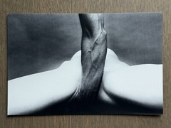 🎈Eikoh Hosoe – Embrace Ordeal by Roses, Original invitation card, 2008, Japan