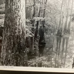 Blair Pittman: “Old River” – Original Gelatin Silver Print Photograph