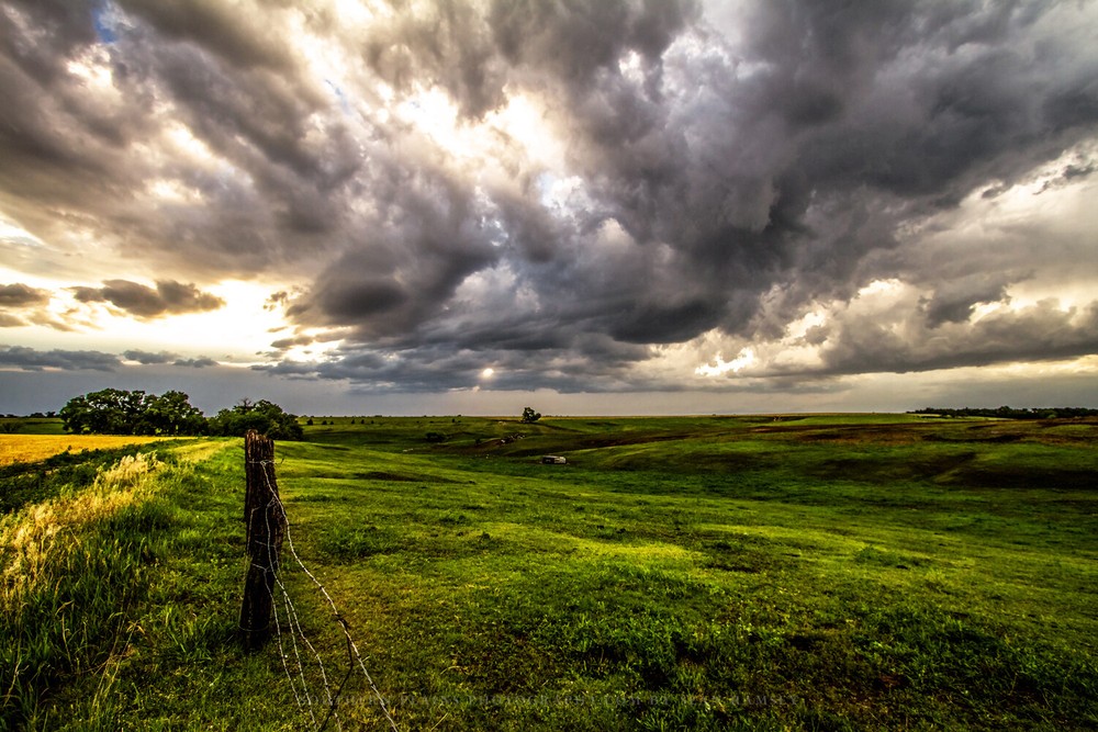 Great Plains Photography Print – Picture of Prairie in Golden Light in Nebraska