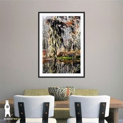 Phinizy Swamp – Abstract Fine Art Nature Photography by Bear8Photo