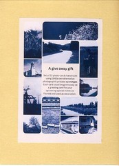🎁 Set 16: Original Handmade Cyanotype Print Greeting Cards Set of 12pcs