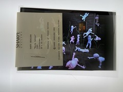 Sandy Skoglund Transparency Archive Lot Revenge Goldfish Radioactive Cats