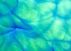 Photographs printed as 18″x24″ gallery-wrap canvases, 1.5″ deep bars, $150