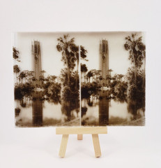 E G Barnhill – 5 x 7 Black & White Photo on Glass Plate – BOK TOWER