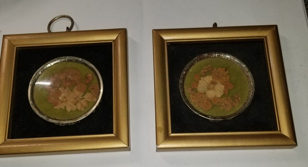 2 Real Virginia Flowers Hopkins Designs Moon Va Flowers 4.5×4.5 in
