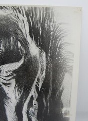 Vintage James Fitzsimmons silver gelatin photograph abstract modernist 8×10″
