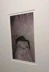 Sophisticated Kitty Cat Black & White Art Photography 17 X 21″ BERGLUND Signed