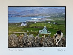 Travel Photography – Irish Dog Print