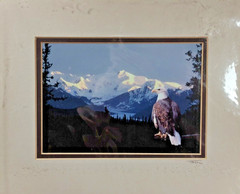 Original Photo Artwork American Bold Eagle Mountains Signed & Numbered by Artist