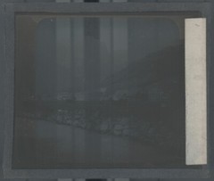 Cows, Engelberg, Switzerland, Photo Plate Glass, Black & White, Positive