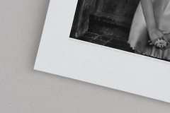 Fine Art B+W Photography Signed Ltd Edition SURREAL Tree of Knowledge in AD 2000