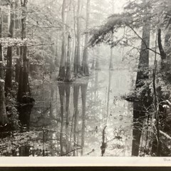 Blair Pittman: “Old River” – Original Gelatin Silver Print Photograph