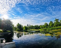 Non-AI Digital Photo Duck Pond Assiniboine Park Blue Sky Clouds Nature Picture