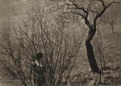 1952 Vintage Print JOSEF SUDEK ~ Czech SEMINARY GARDEN Landscape Photo Art 11X14