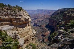 Grand Canyon National Park Shoshone Point Arizona Poster Photo Print GC06