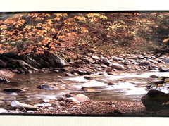 Joseph Barnett Photography Set of 2 Signed Autumn Themed Nature Framed Photos