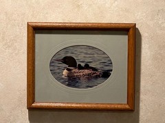 Loon Family, photo, oak frame, matted, artist signed by Sylvia Bonson 11″ x 9″