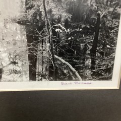 Blair Pittman: “Old River” – Original Gelatin Silver Print Photograph