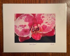 Original photographic print “Duel Input” by Michael Blumenstock