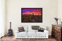 Saguaro Cactus Photography Print | Sonoran Desert Picture | Arizona Wall Art