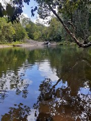 Photograph Jungle Beautiful Sri Lanka River Photo Image Nature Picture Print