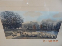 Large Rare Wallace Nutting w/Sheep “Warm Spring Day” Hand Colored Photo