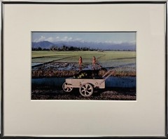 1985 Raghubir Singh Transplanting Paddy Outskirts Srinagar Kashmir India SIGNED