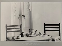 XAVIER ZIMBARDO ,’BIRDS SITTING ON A TABLE’ AUTHENTIC 1980’s ART PRINT