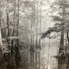 Blair Pittman: “Old River” – Original Gelatin Silver Print Photograph