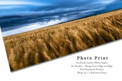 Wheat Field Under Thunderstorm Photo Print | Kansas Wall Art | Country Picture