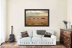 Cows in Tall Prairie Grass Texas Western Farm Ranch Cattle Photography Print