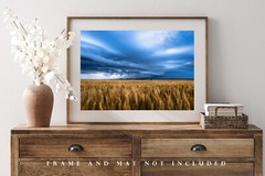 Wheat Field Under Thunderstorm Photo Print | Kansas Wall Art | Country Picture