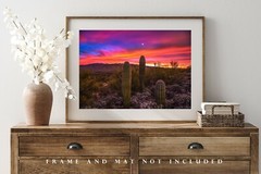 Saguaro Cactus Photography Print | Sonoran Desert Picture | Arizona Wall Art