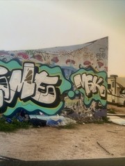 graffiti Art High Gloss Photograph By RIME MSK SIGNED Lmtd @100 Framed!