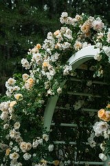 Digital Image Picture Photo Pic Wallpaper Background Branch Arch Flowers Roses