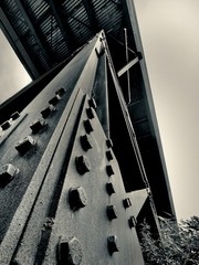 Spine of Steel: A Contemporary Black & White Architectural Photograph