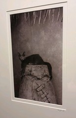 Sophisticated Kitty Cat Black & White Art Photography 17 X 21″ BERGLUND Signed
