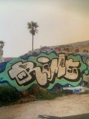 graffiti Art High Gloss Photograph By RIME MSK SIGNED Lmtd @100 Framed!