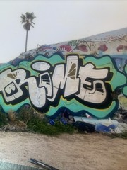 graffiti Art High Gloss Photograph By RIME MSK SIGNED Lmtd @100 Framed!
