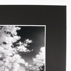 Black Mat Photo Landscape Park Infrared Photography Bridge Trees Art Print