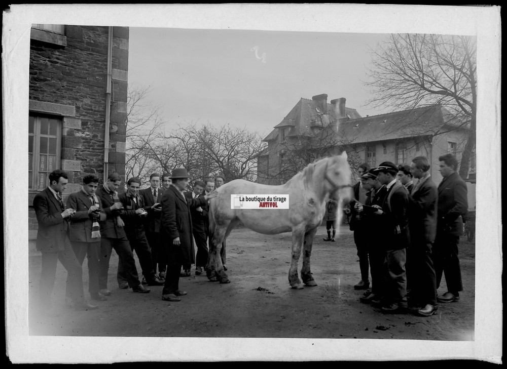 Old Black And White Photo Glass Plate Negative 13X18 Cm Agricultural School