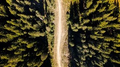 Landscape photography on canvas
